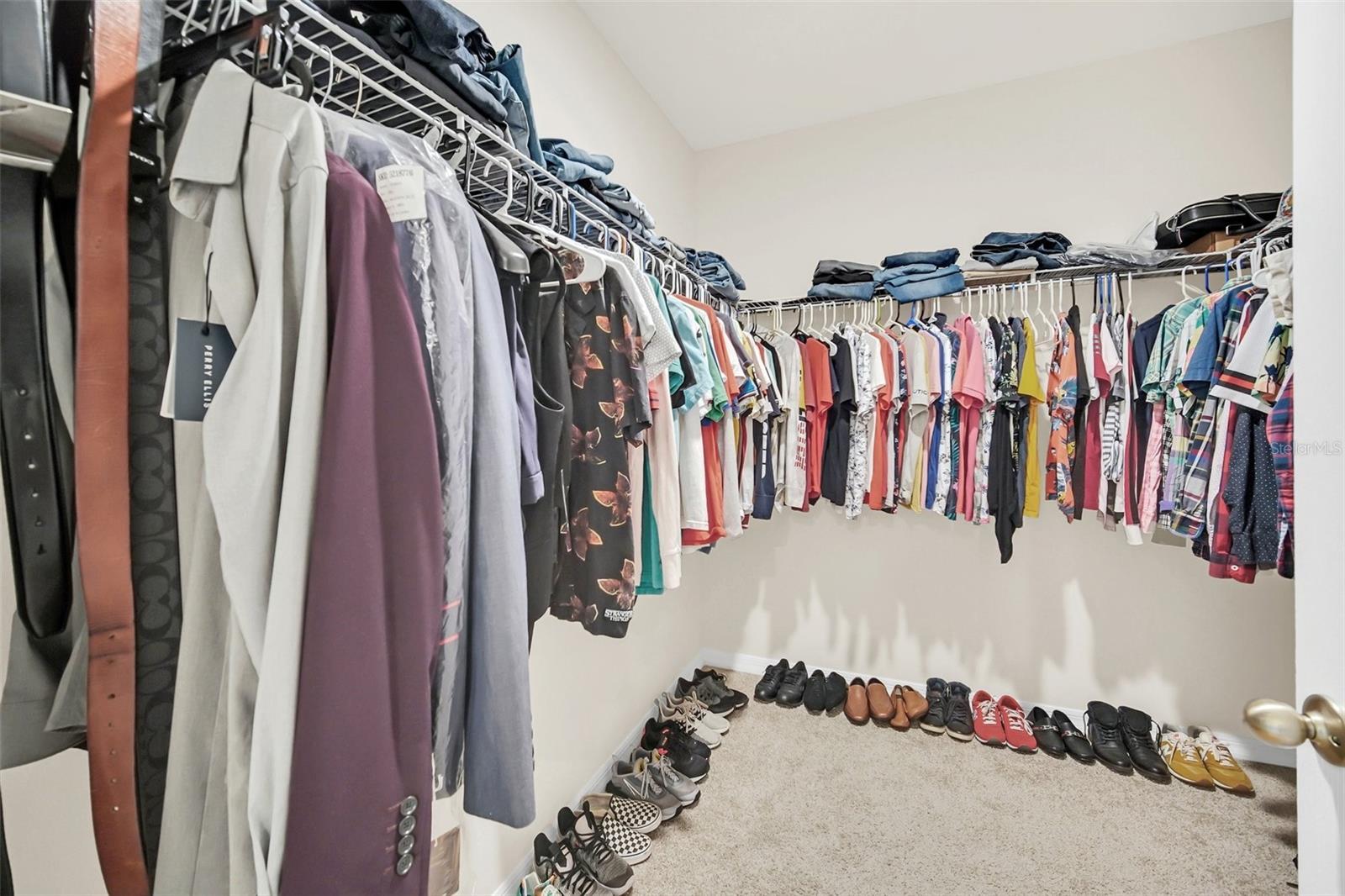Photo #15