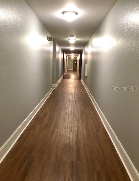 Photo #39