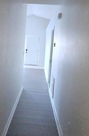 Photo #12