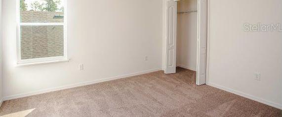 Photo #38