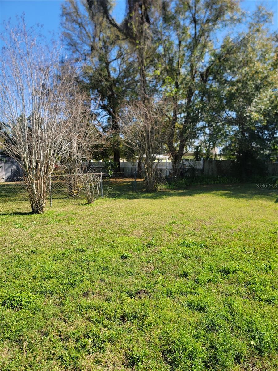 Photo #4
