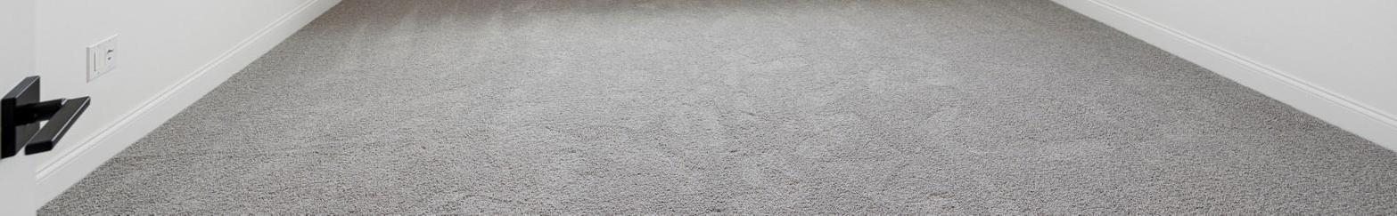 Photo #16