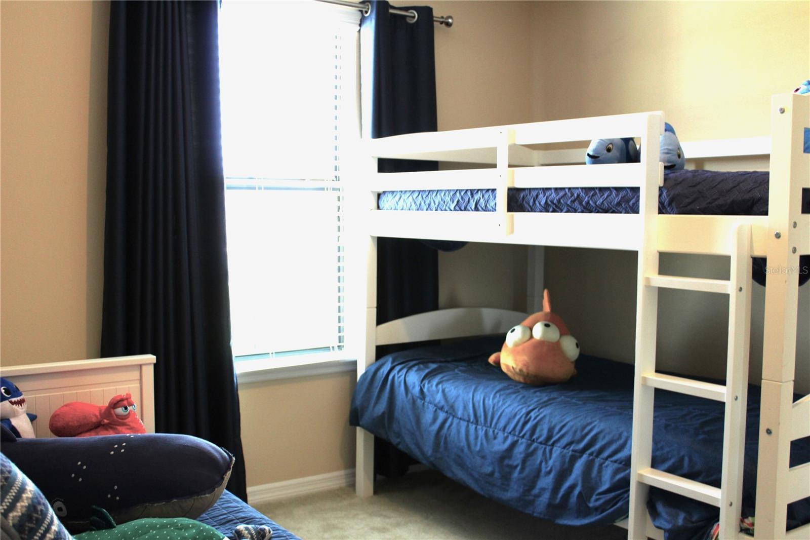 Photo #47