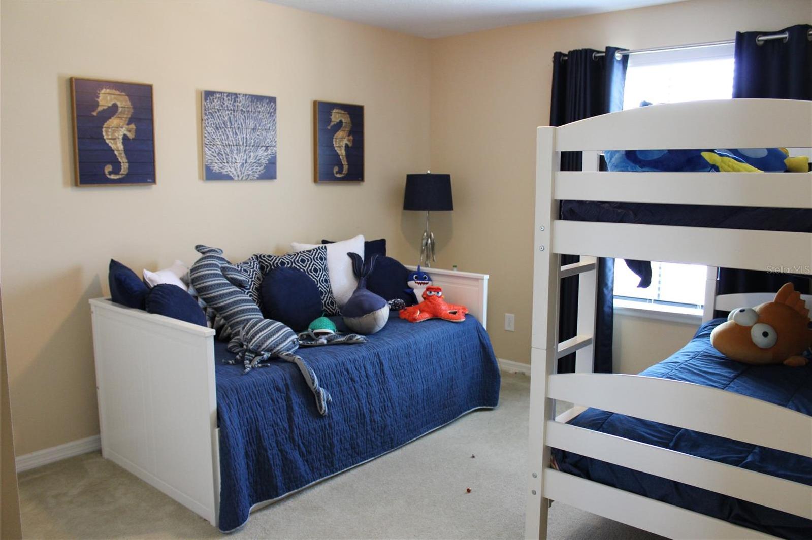 Photo #48
