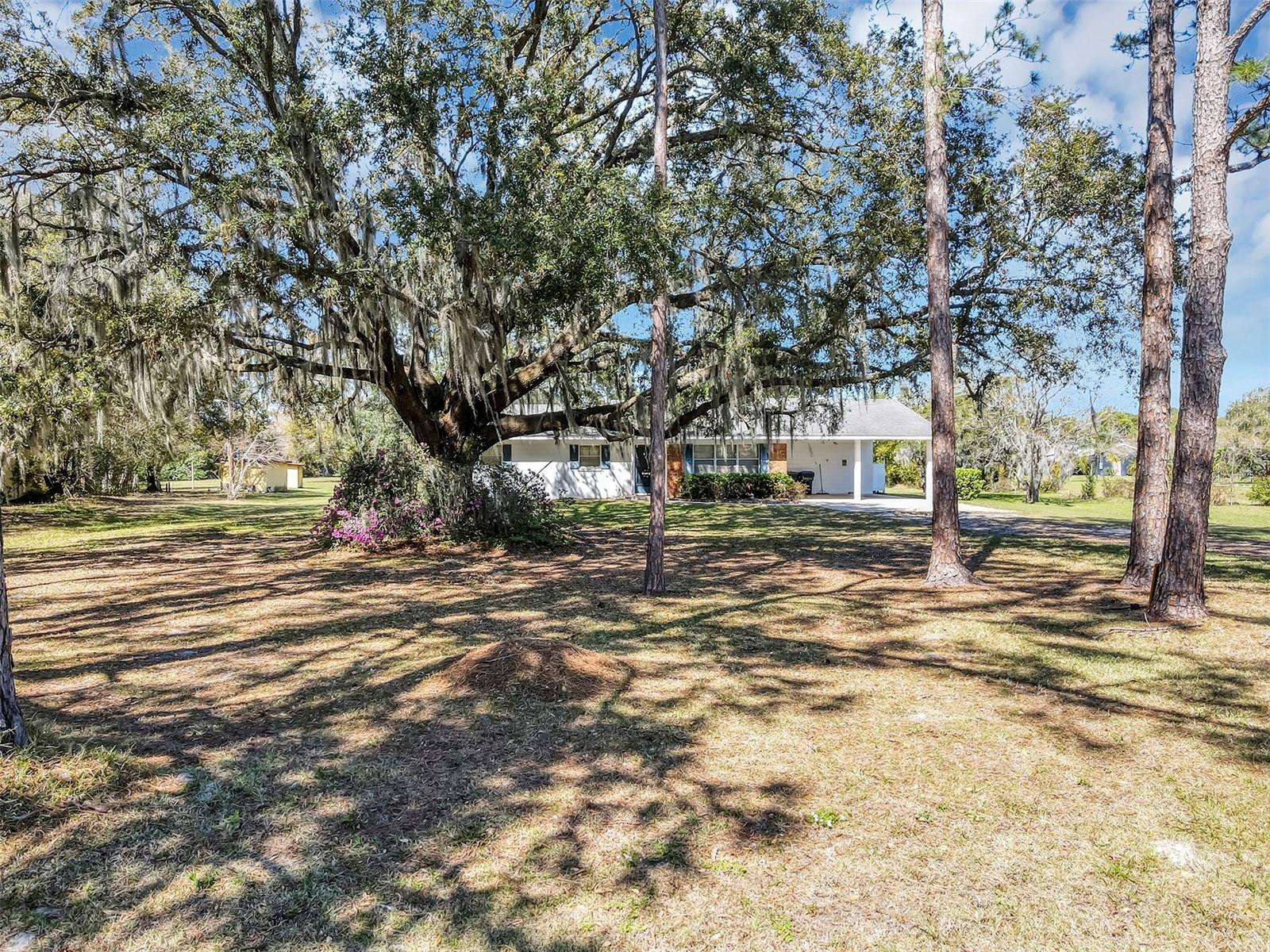 Photo one of 11207 Roberson Rd Winter Garden FL 34787 | MLS O6287104