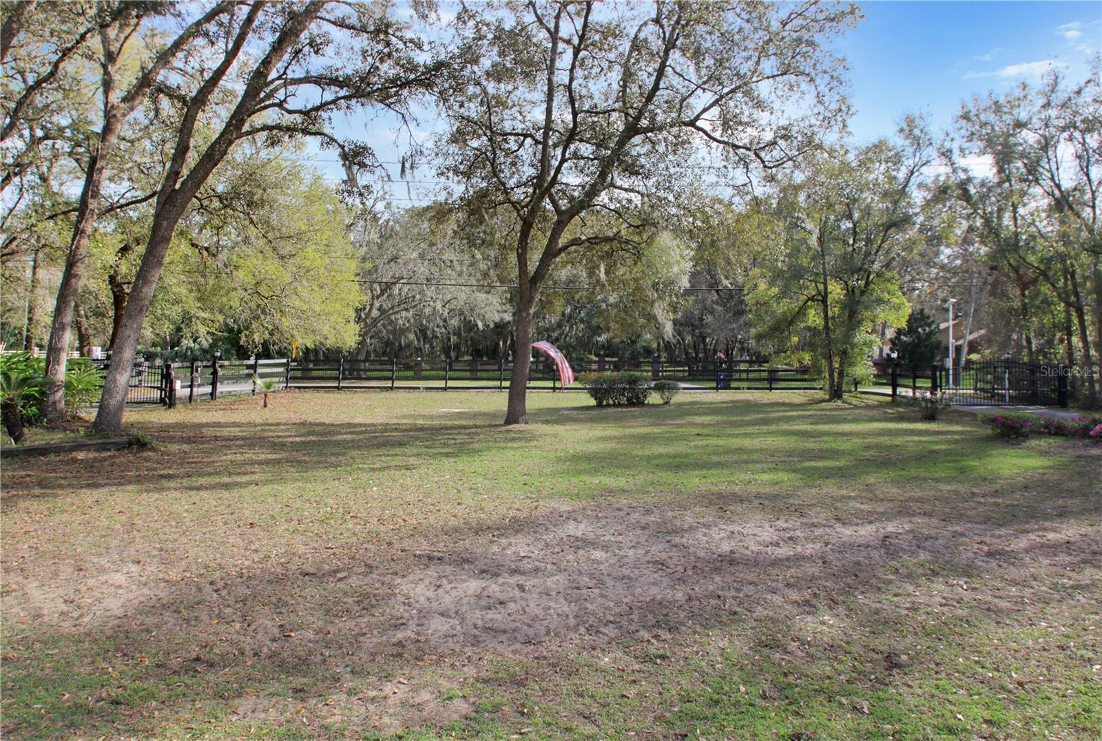 Photo #38