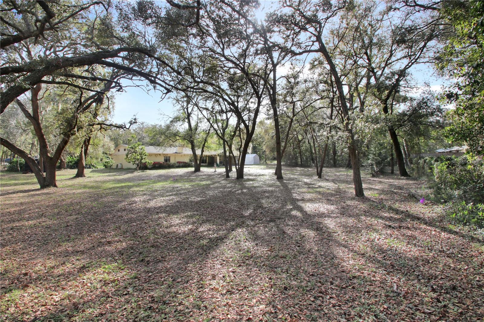 Photo #41