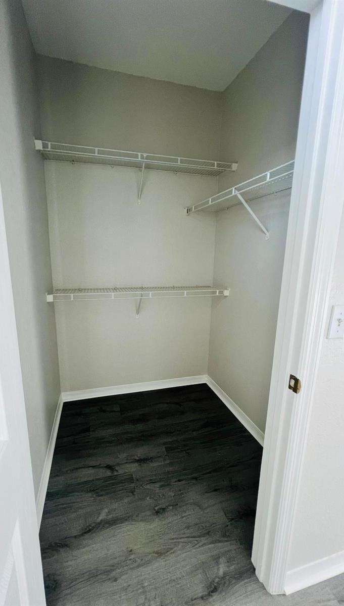 Photo #18