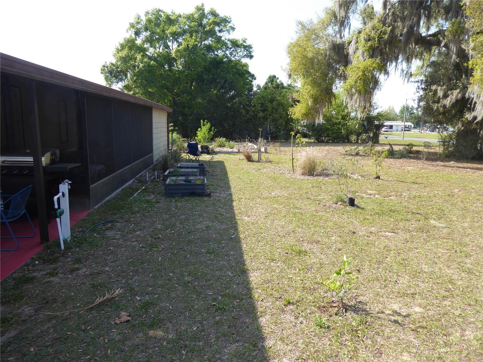 Photo #17