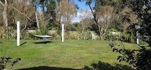 Photo #11