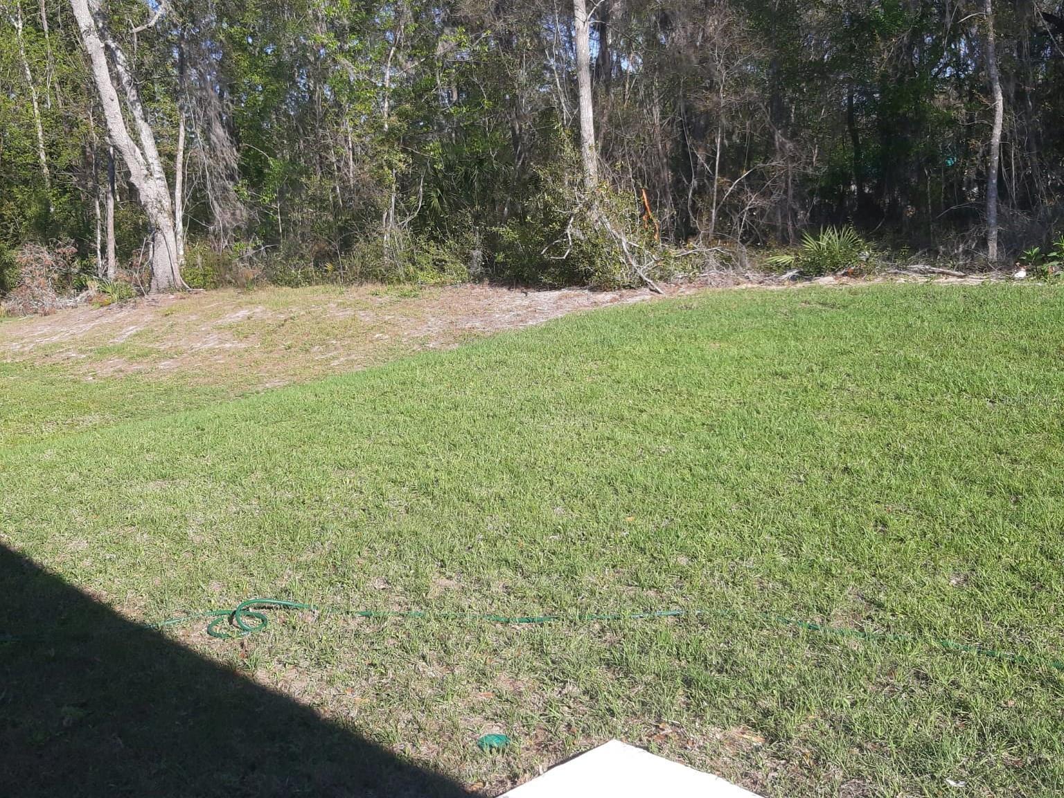 Photo #23