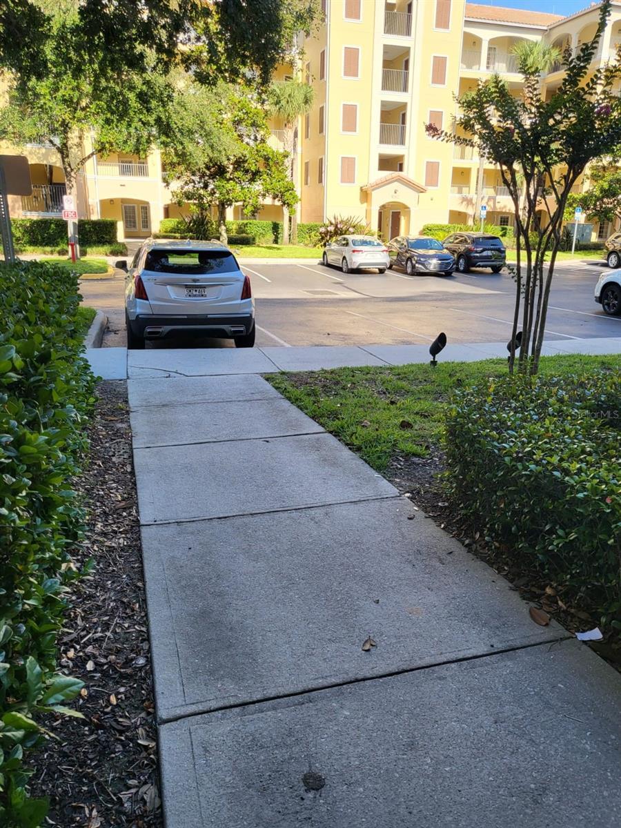 Photo #31