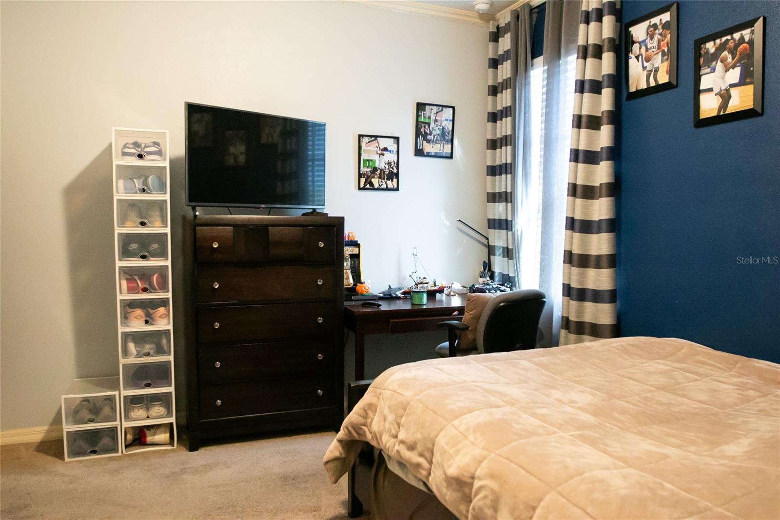 Photo #42