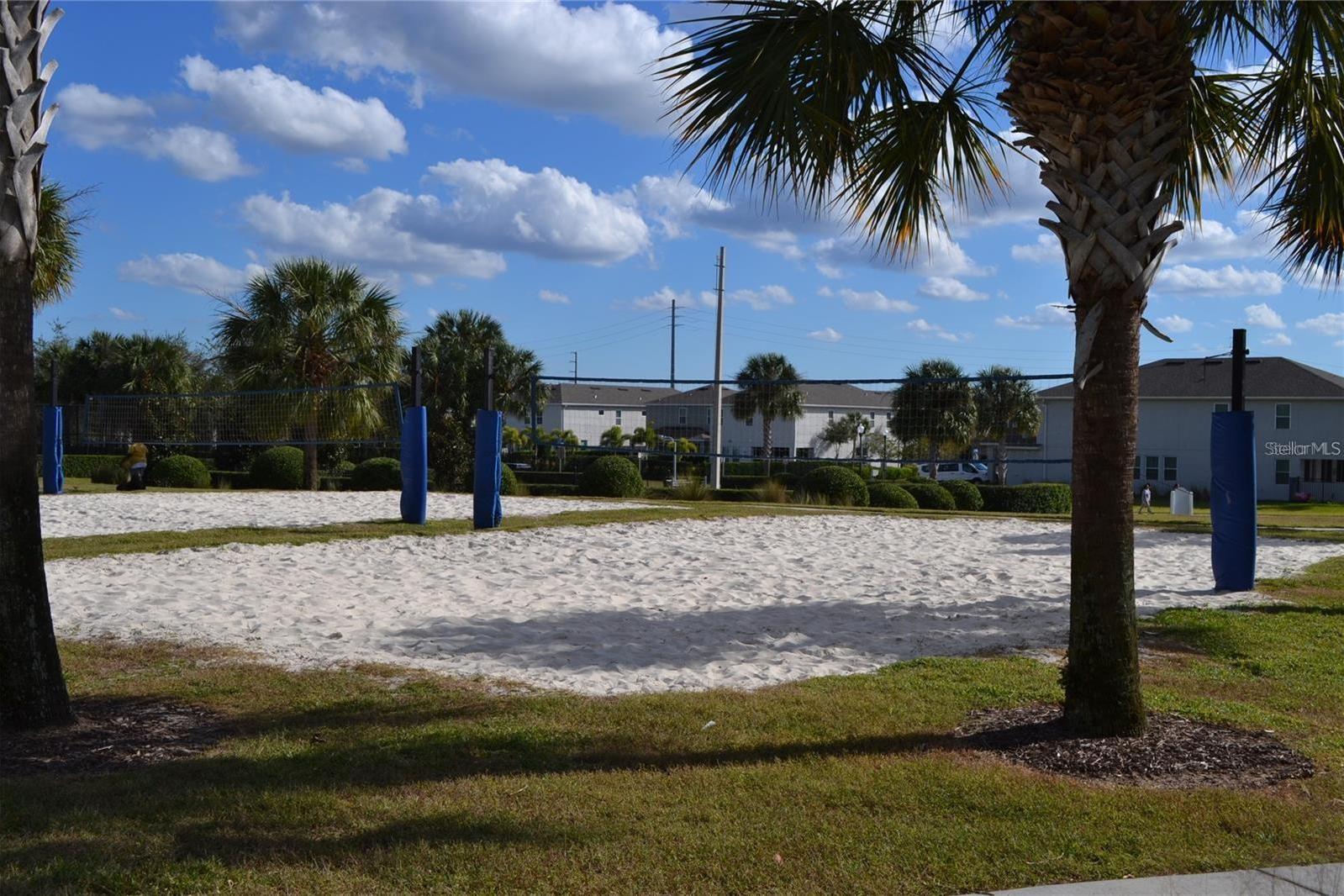 Photo #62