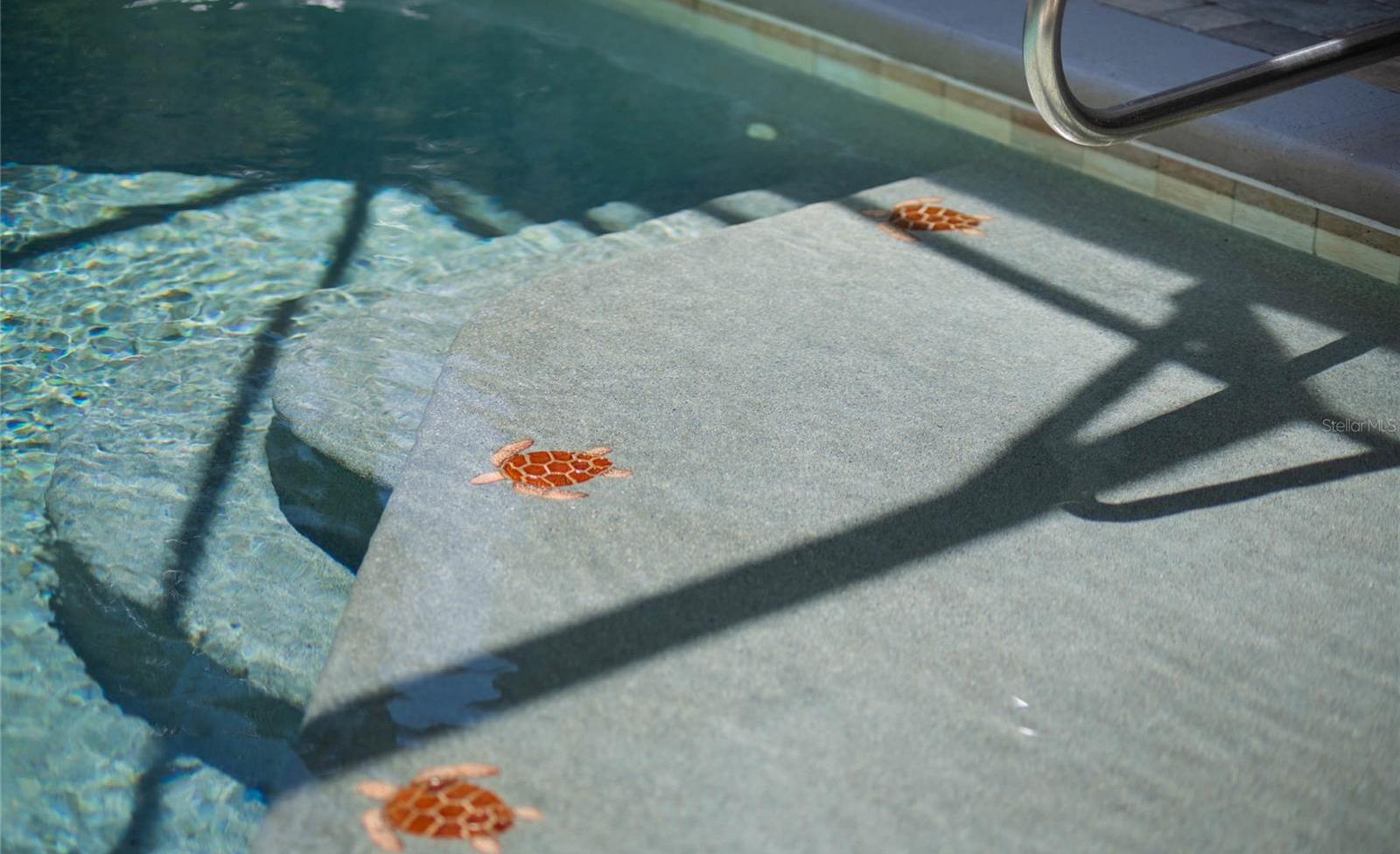 Photo #34