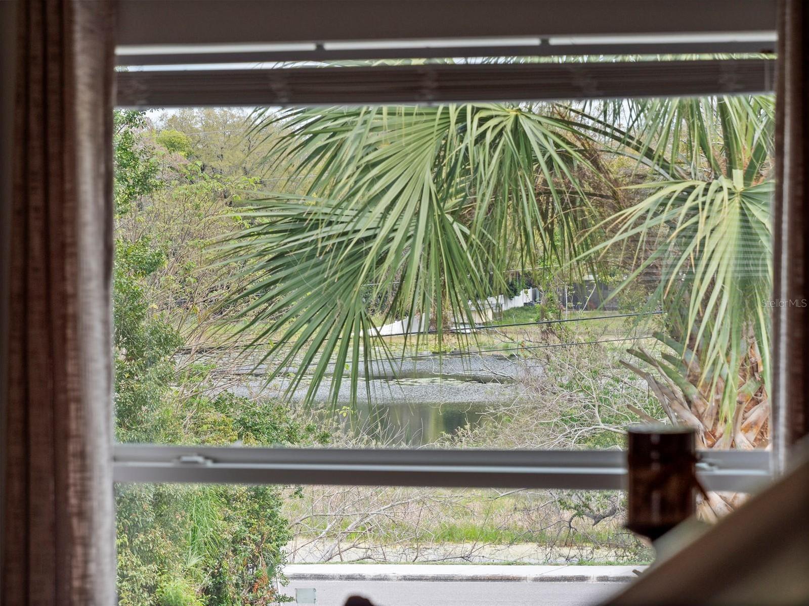 Photo #23