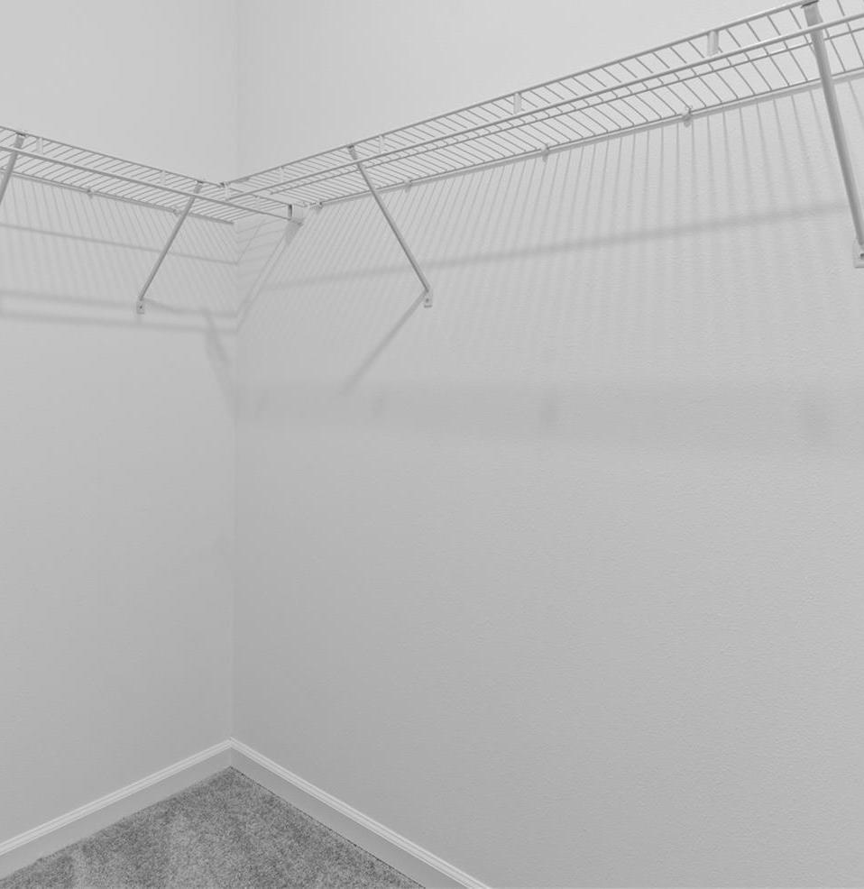 Photo #32