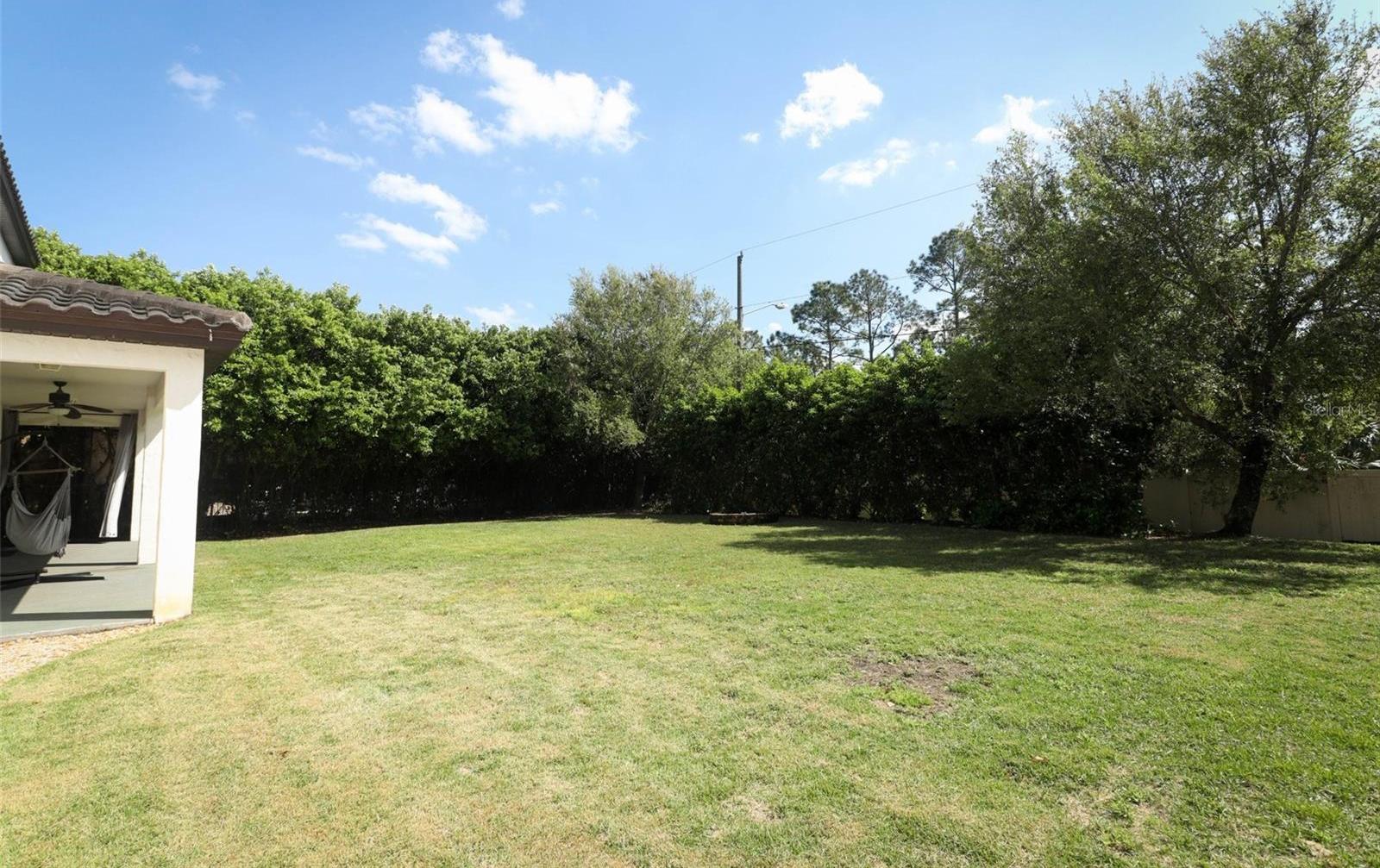 Photo #42