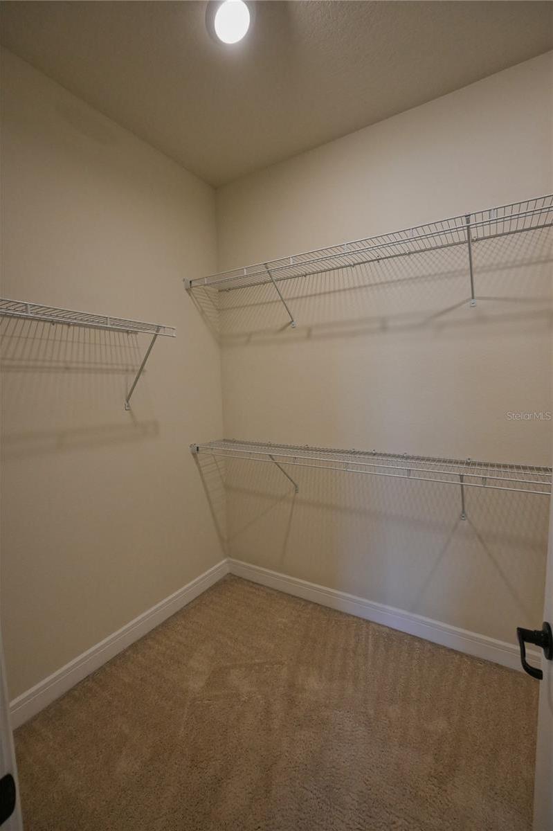 Photo #19