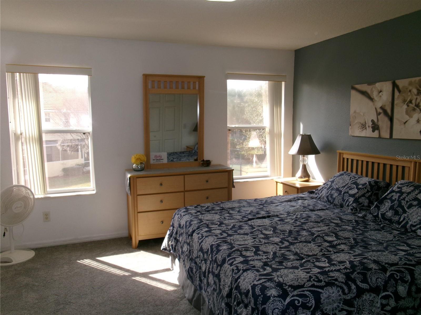 Photo #12