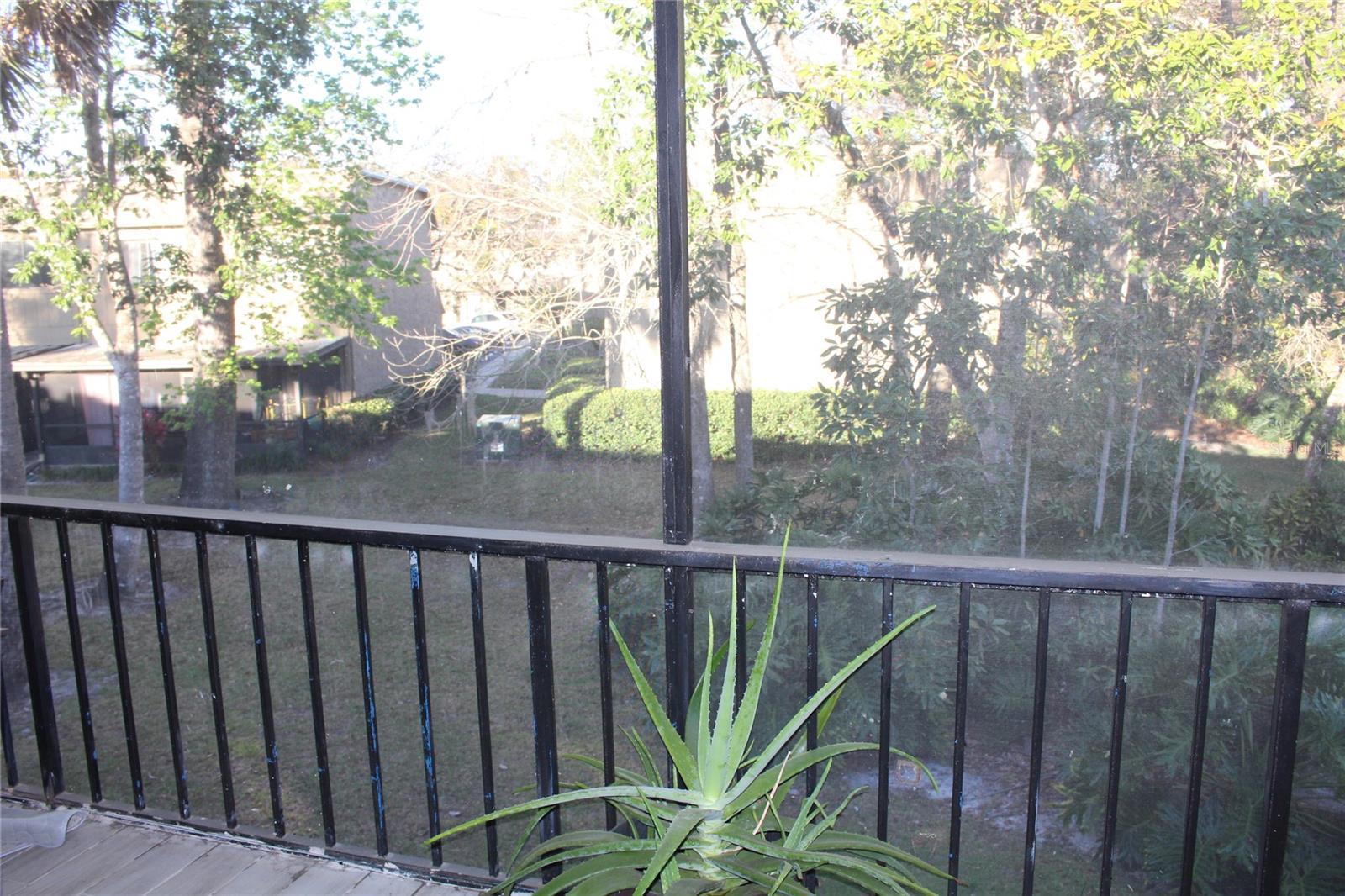 Photo #24