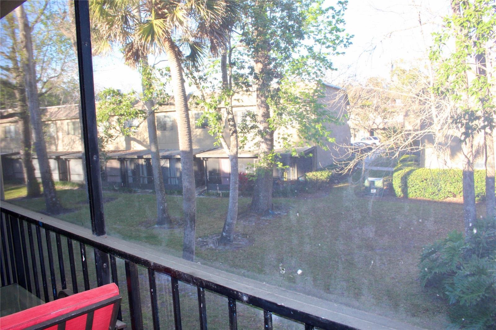 Photo #21