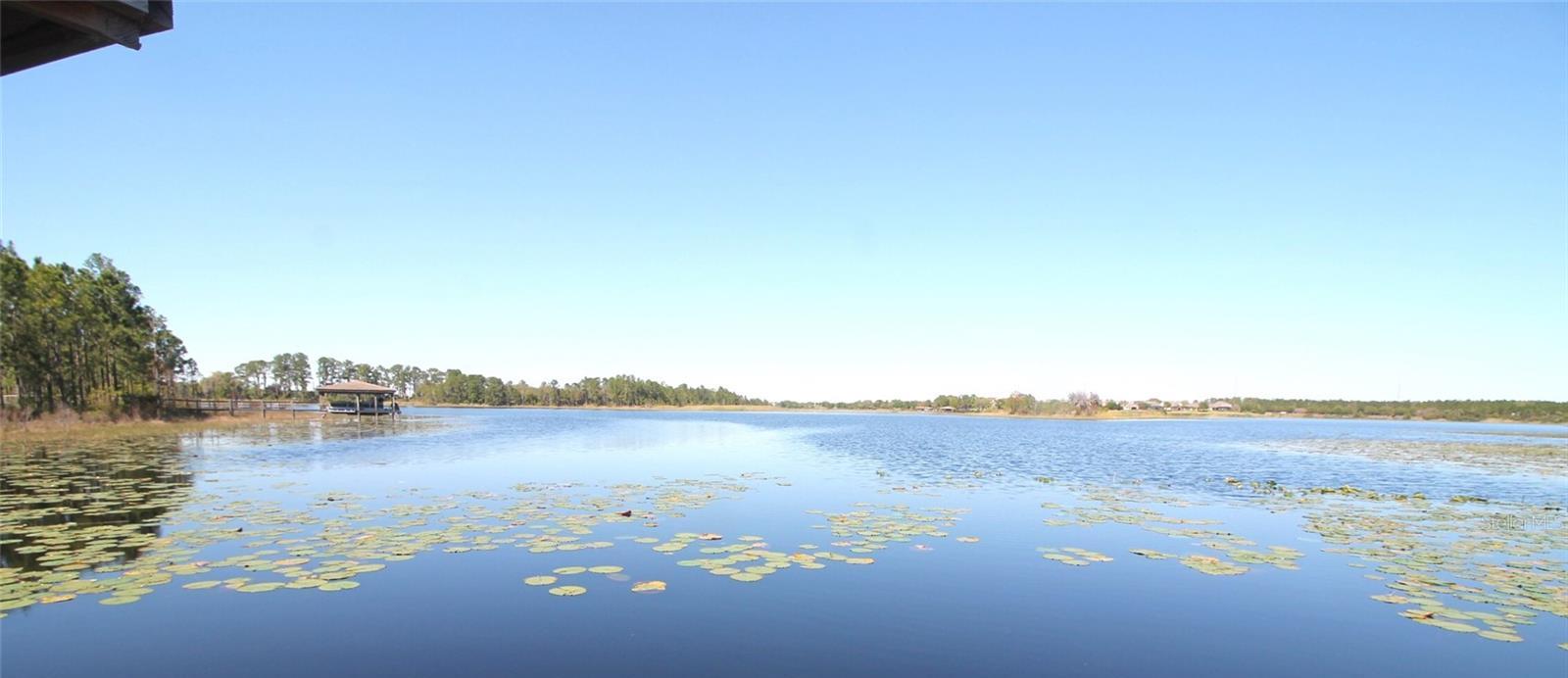 Photo #35