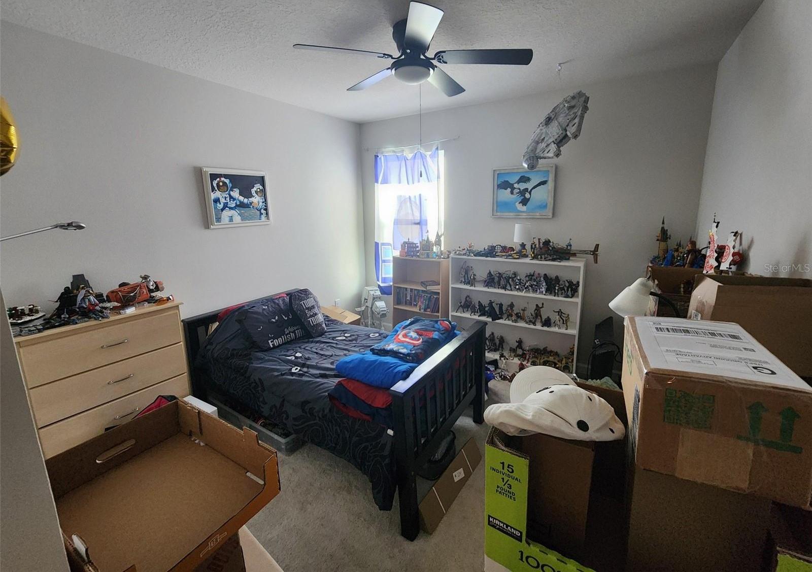 Photo #12