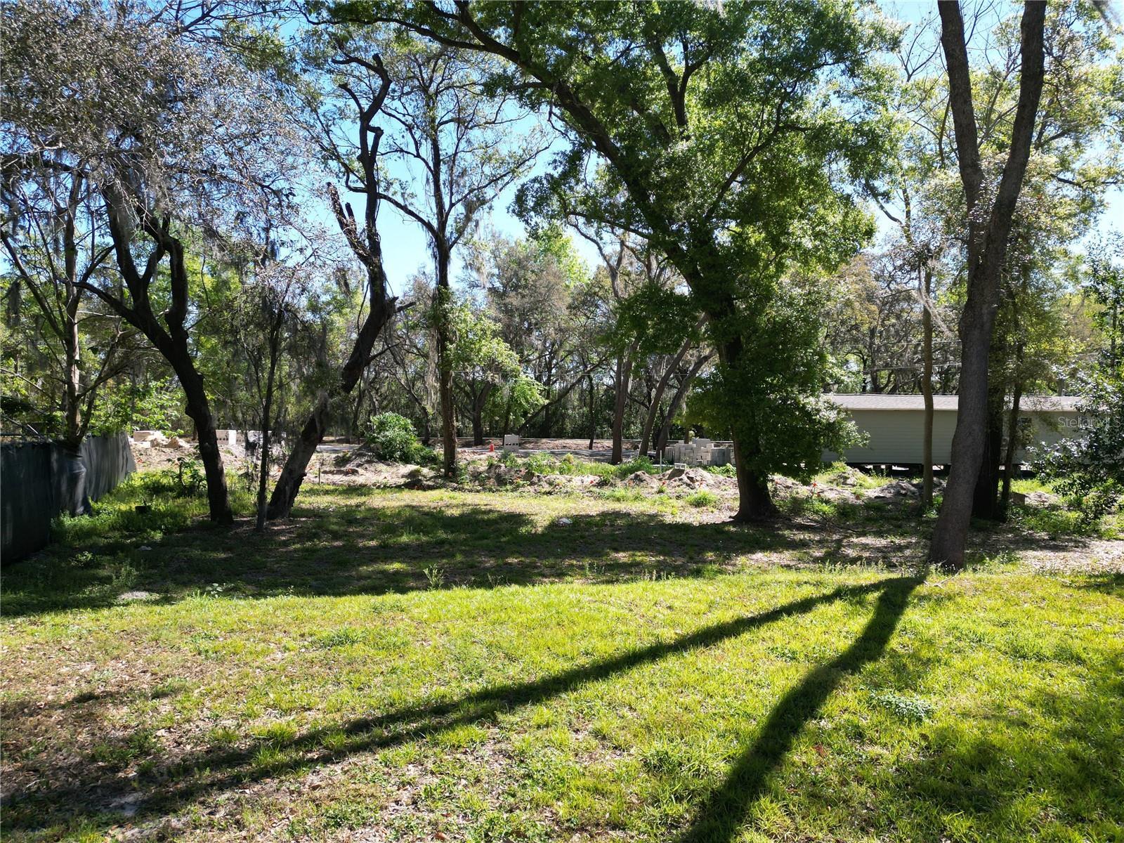 Photo #6