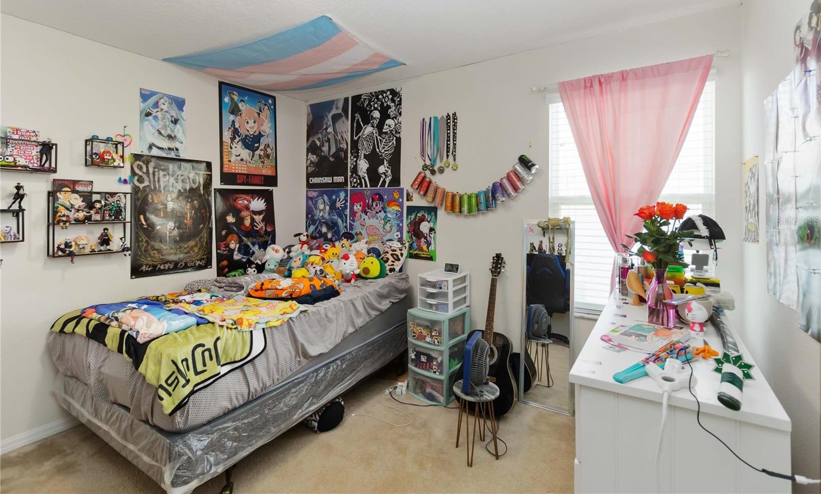 Photo #16