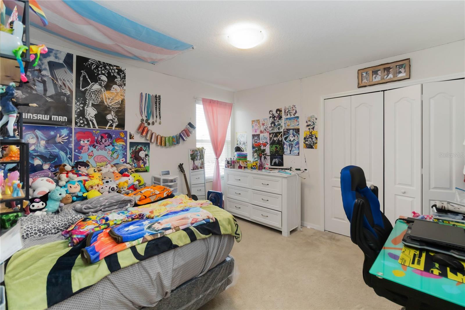 Photo #15