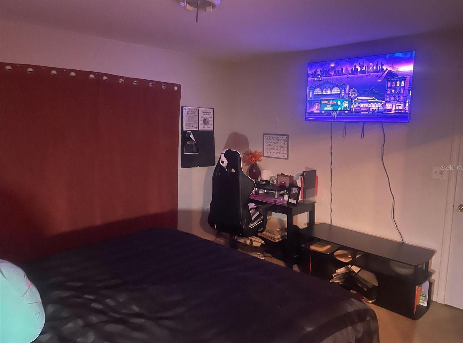 Photo #15