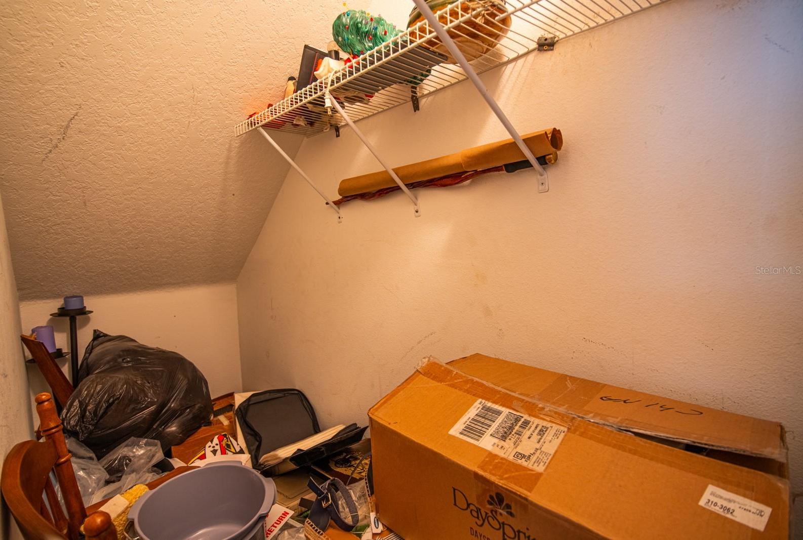 Photo #62