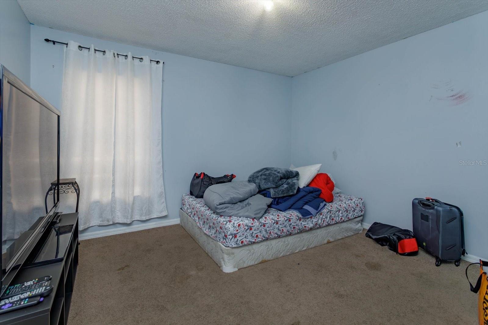 Photo #5