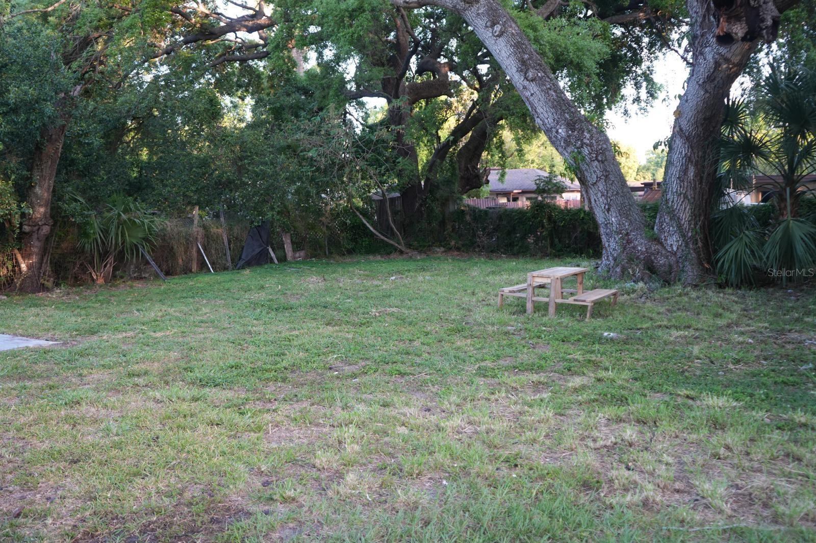 Photo #3
