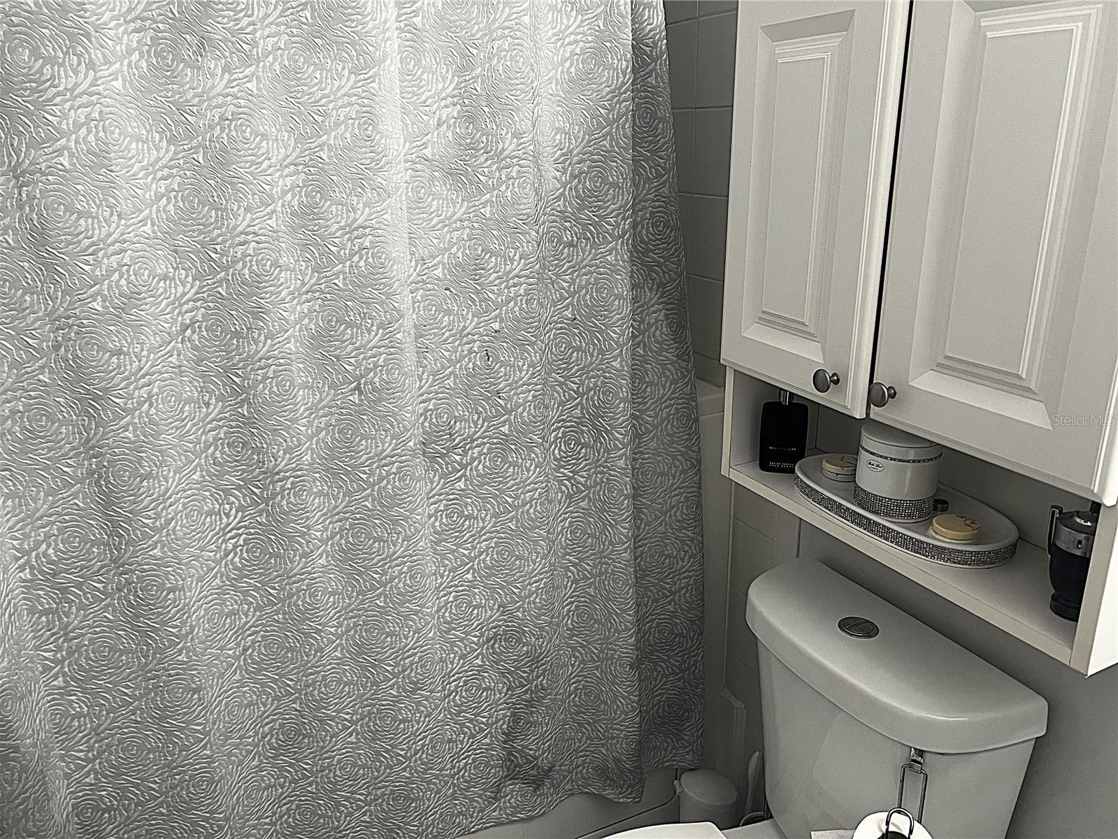 Photo #7