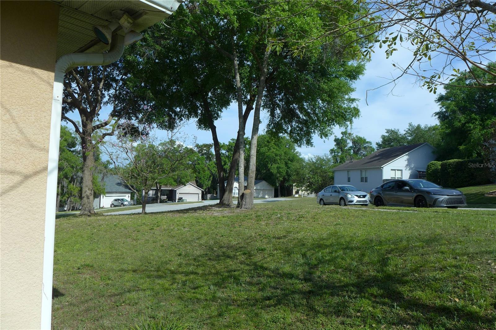 Photo #42