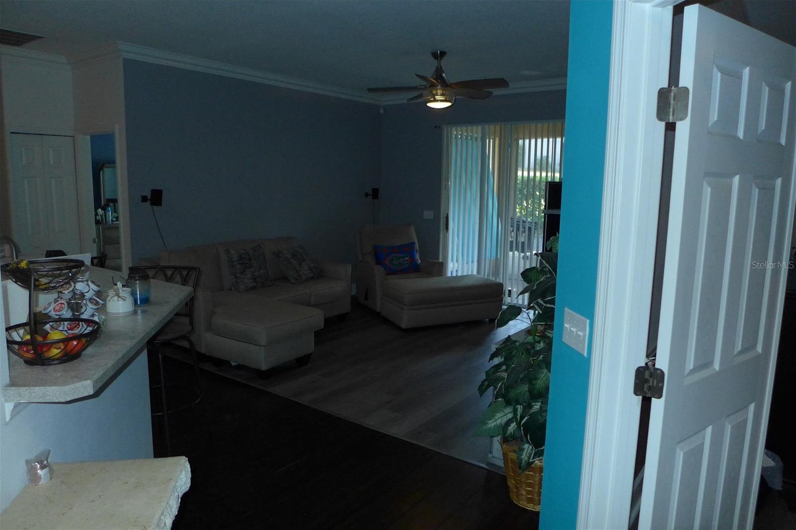 Photo #41