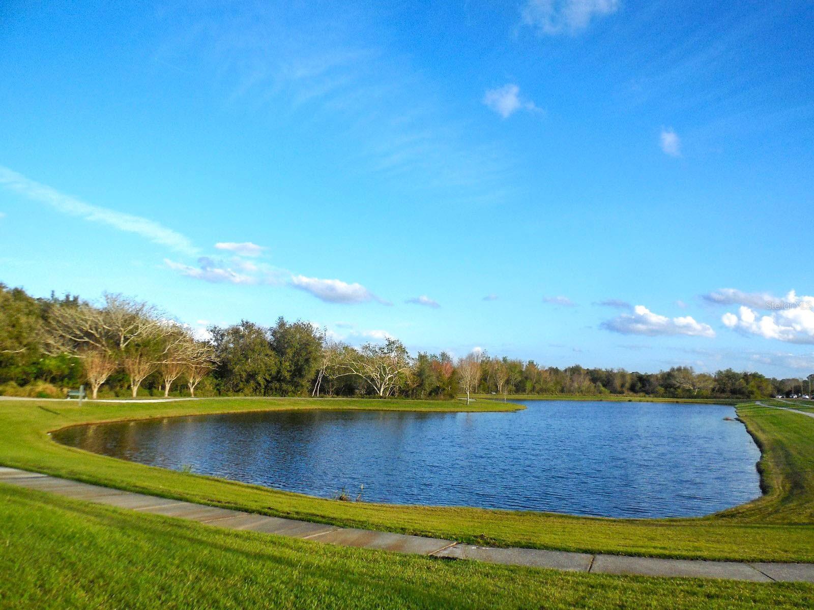 Photo #19
