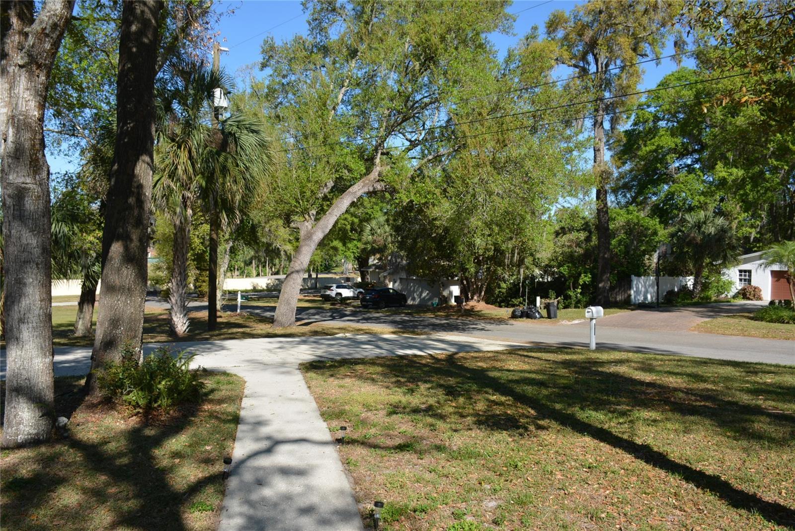 Photo #6