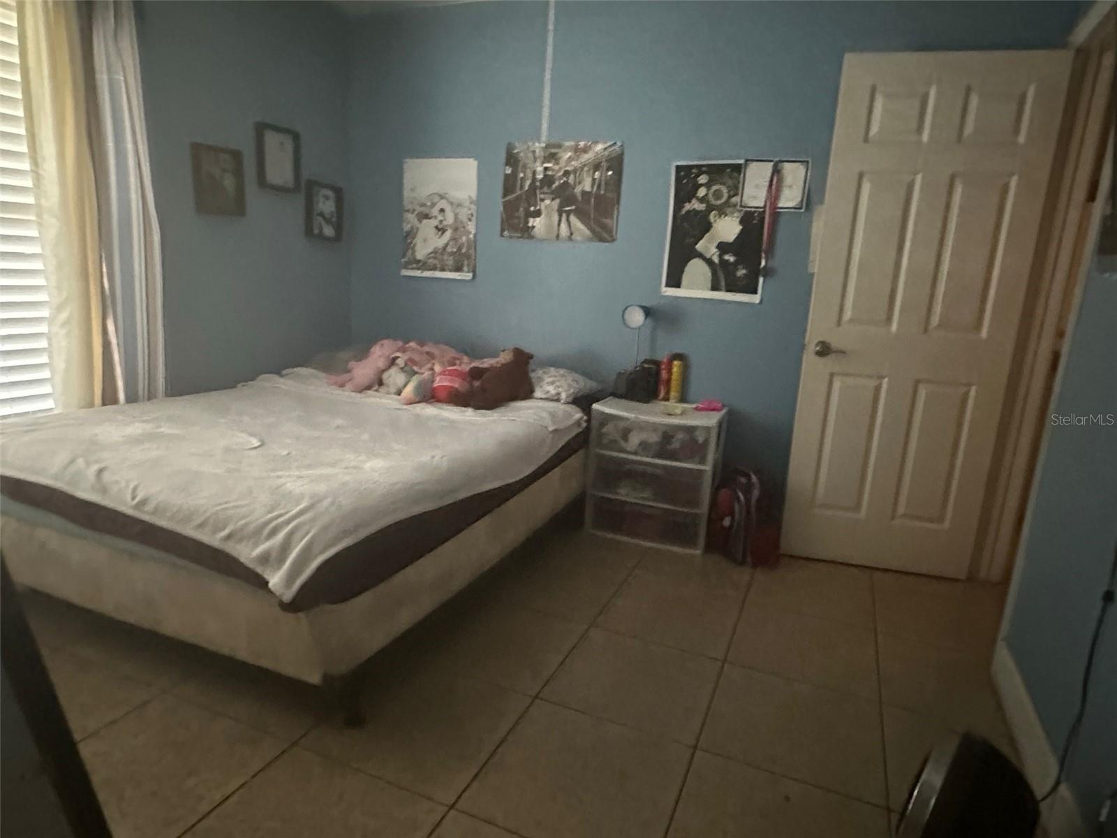 Photo #13