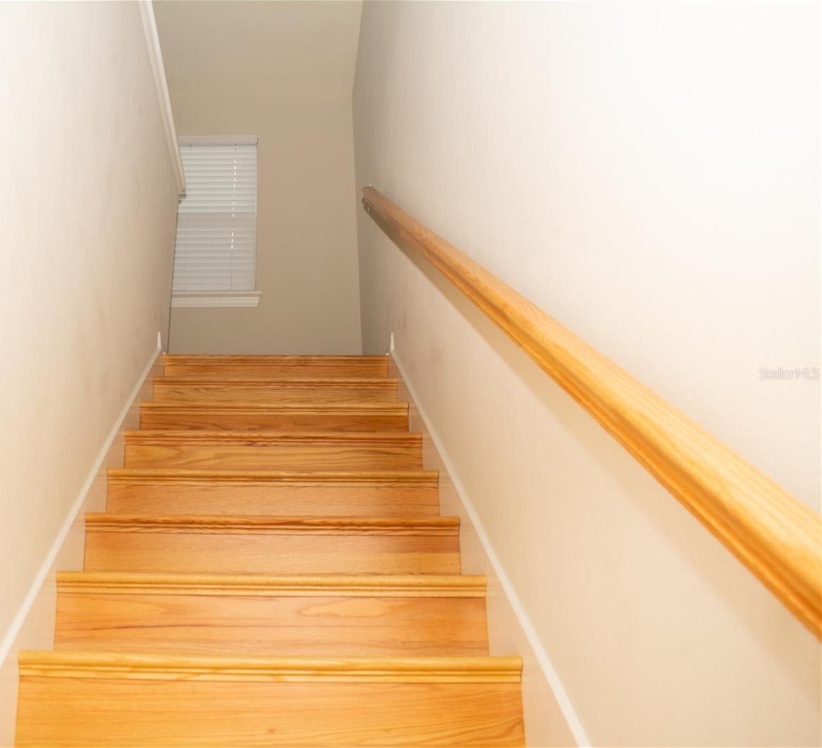 Photo #34