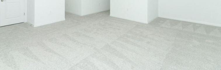 Photo #10