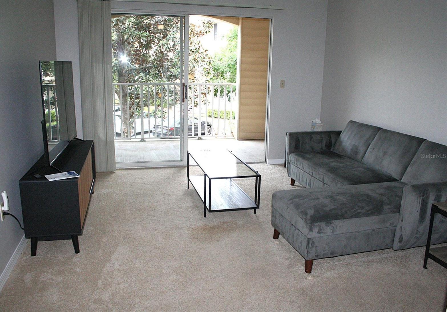 Photo #14