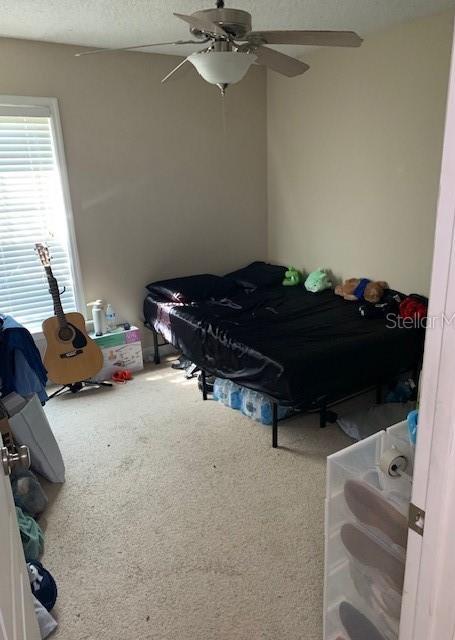 Photo #12