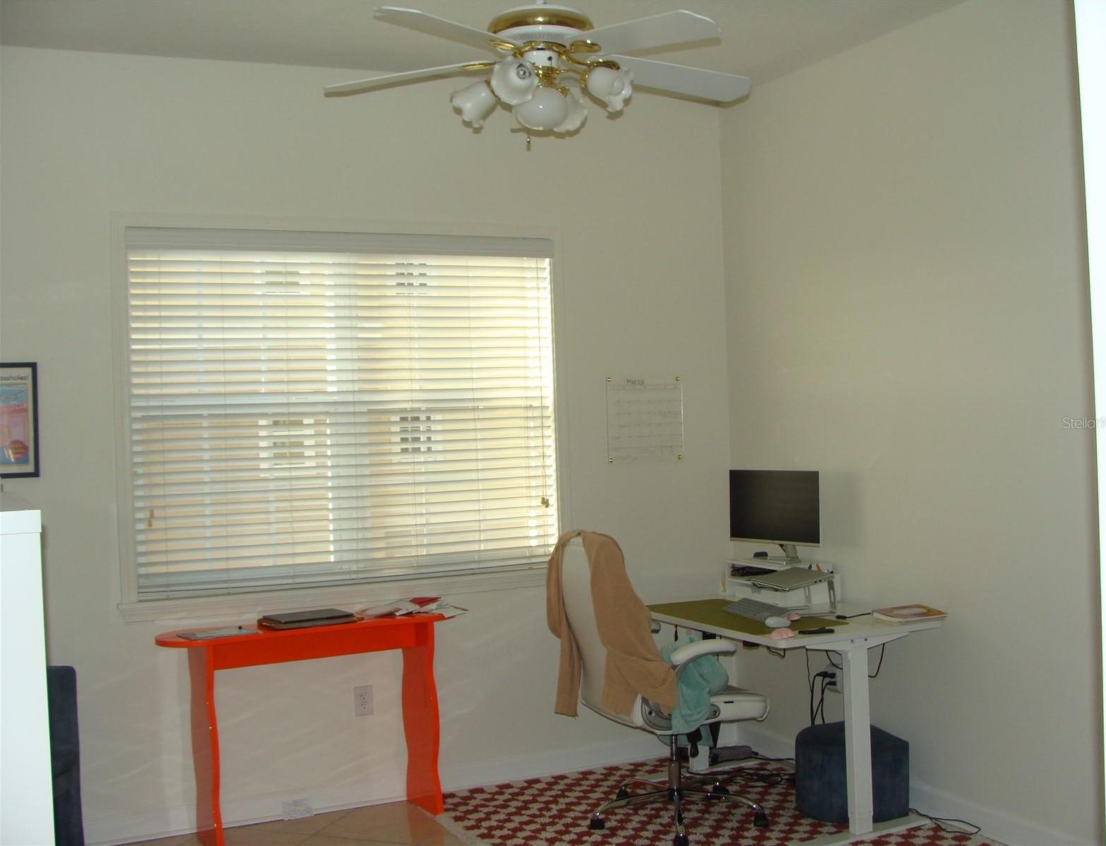 Photo #14