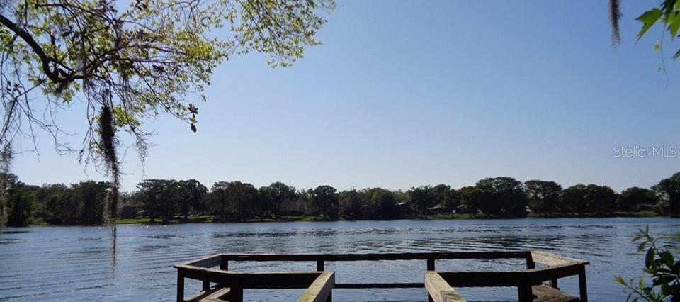 Photo #23