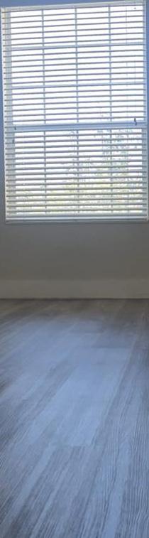 Photo #18
