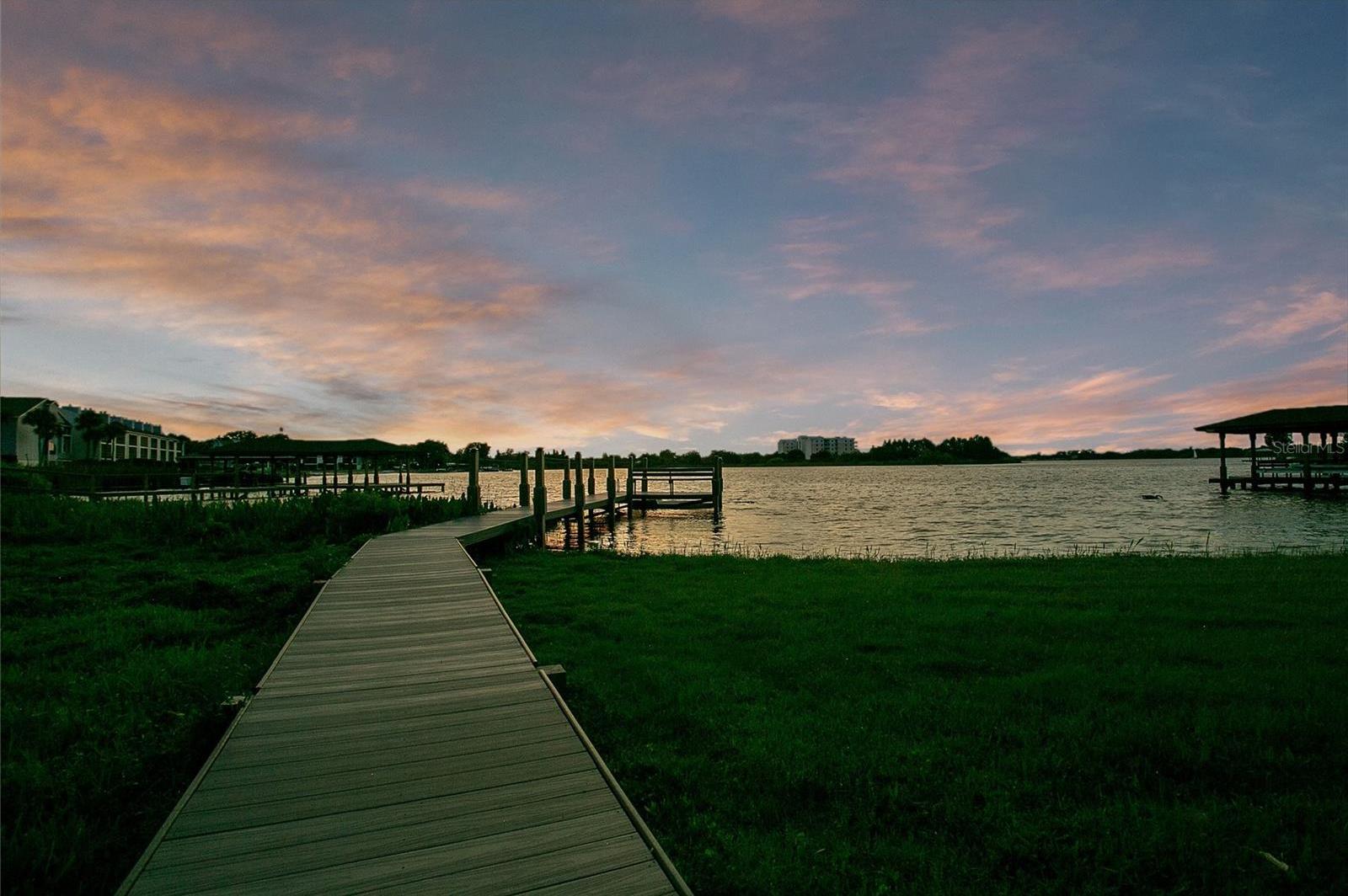 Photo #86
