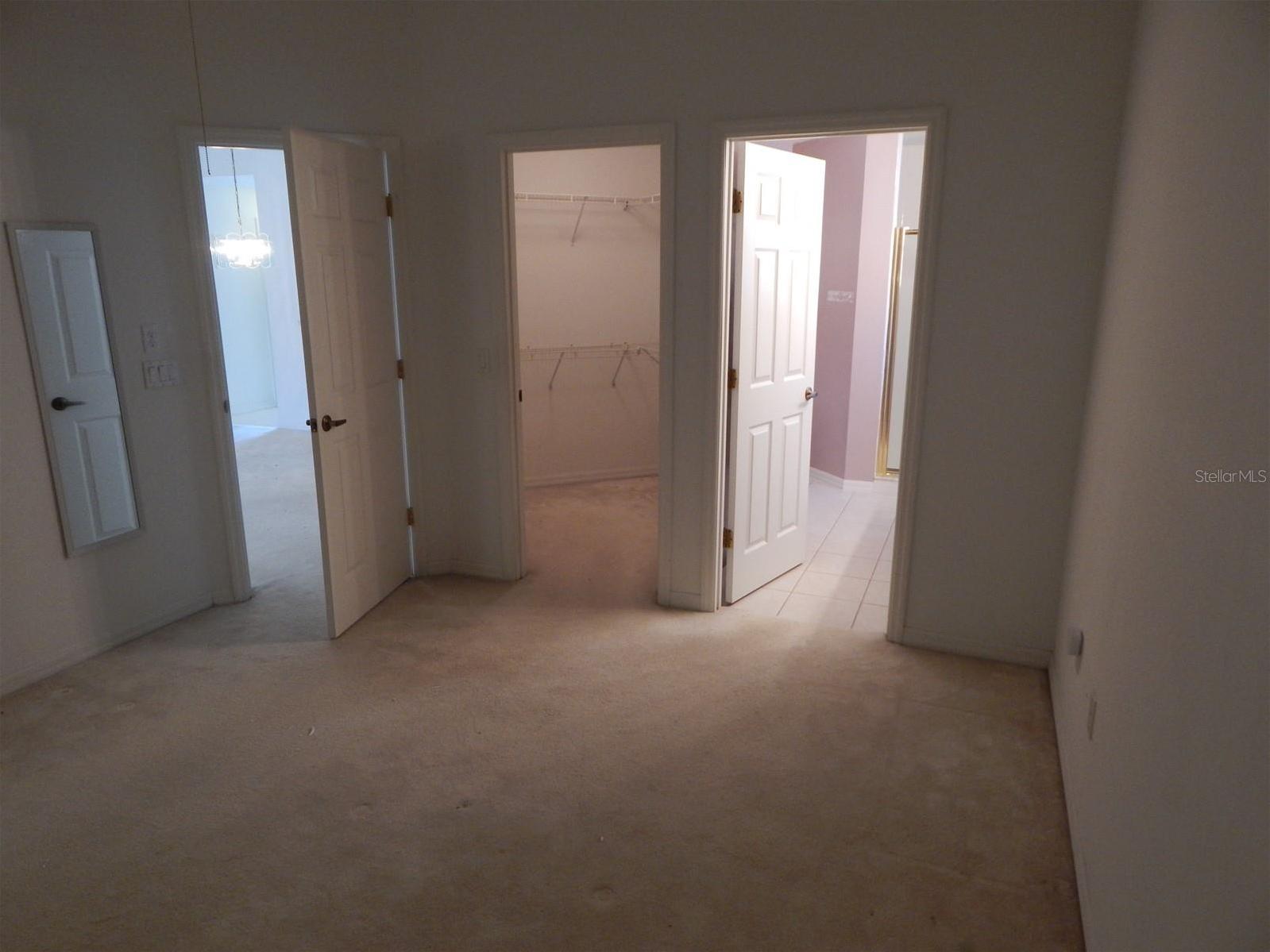 Photo #15